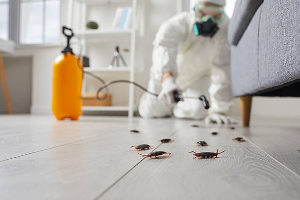 Commercial Kitchen Cockroach Control in Maybrook
